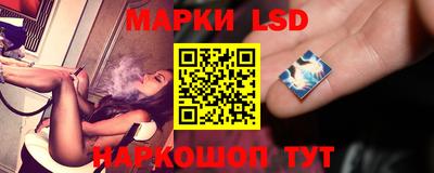 гидропоника Владимир