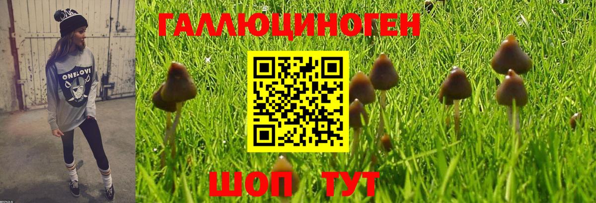 Псилоцибиновые грибы Psilocybe  Вход с VPN  Псилоцибиновые грибы мухоморы  Кудымкар 